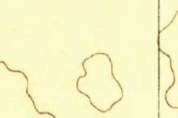 USGS survey, 1879–1919