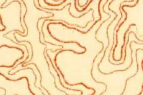 USGS survey, 1879–1919